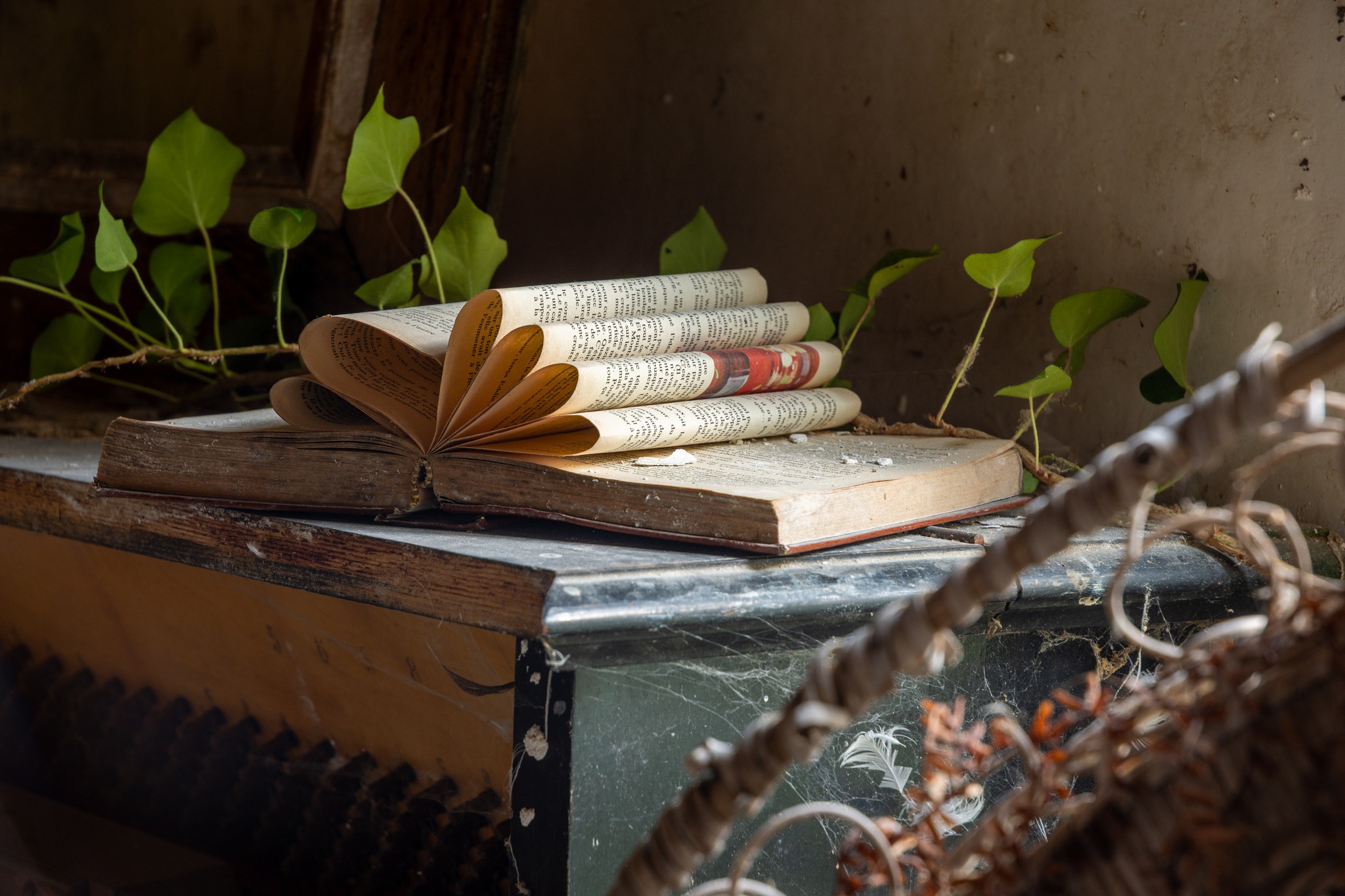 Le libre -Solitude Expo - Urbex World